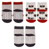 Stephen Joseph Socks - Bear - Makaboo.com